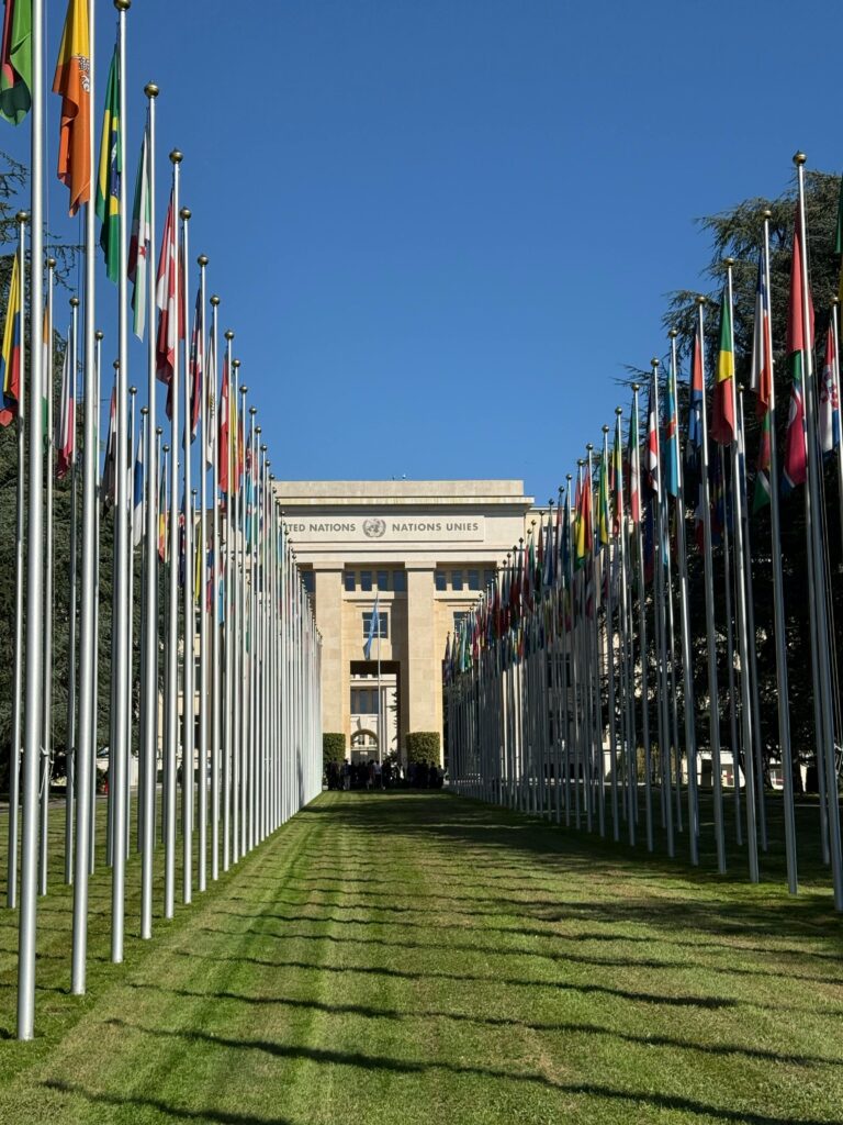 UNIDO is Recruiting a National Programme Officer in Montevideo