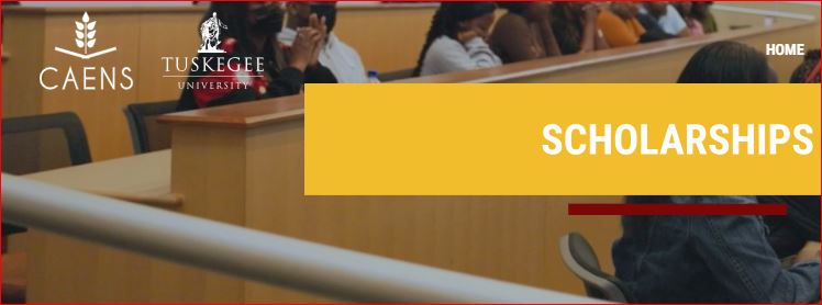 Mastering the University of Bern Scholarship Requirements: A Complete Guide