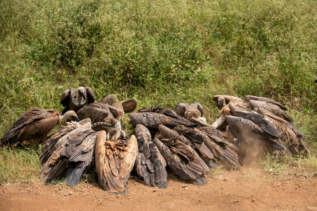 Complete Guide: The Next Step After Completing KFS Course