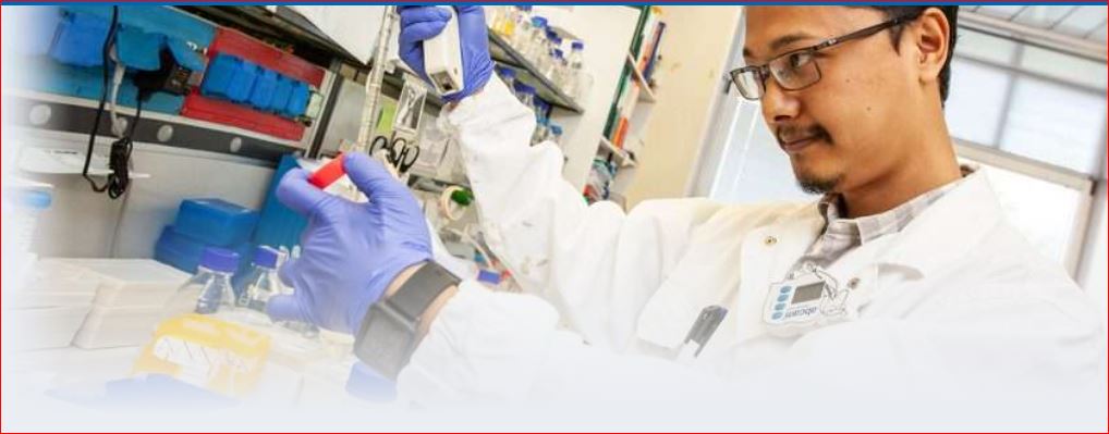 The Fully Funded ICGEB Arturo Falaschi Postdoctoral Fellowships 2027 are now open