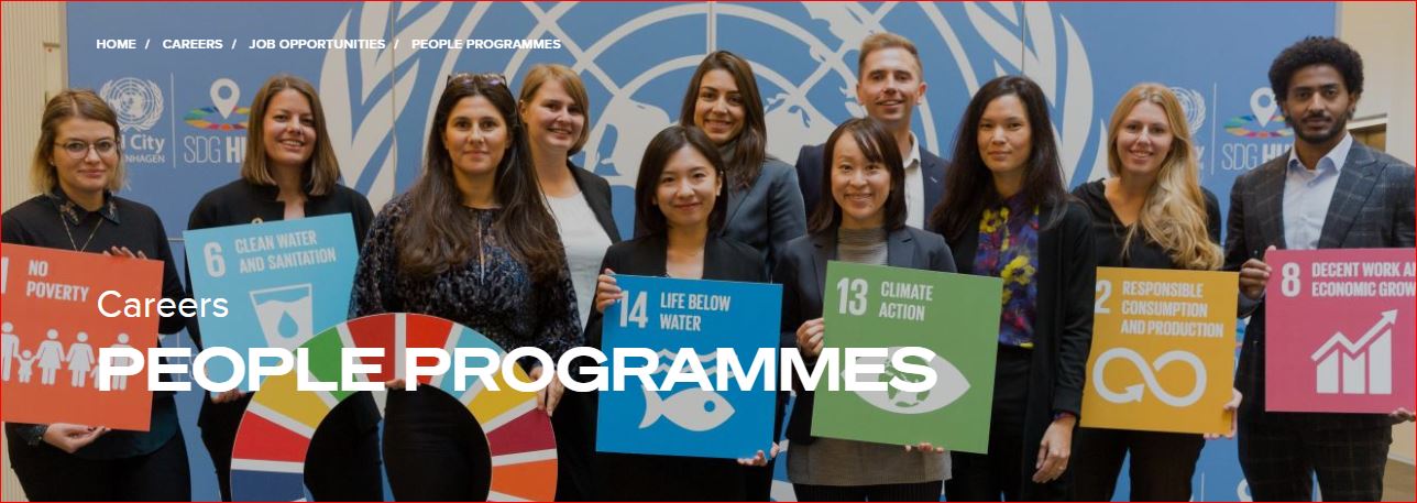Here are The Best UNDP Multiple Opportunities For You
