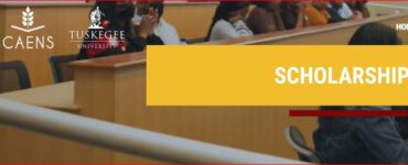 Mastering the University of Bern Scholarship Requirements: A Complete Guide