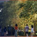 The University of Melbourne Graduate Research Scholarships 2027 For International Students