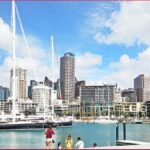 Internship in New Zealand For International Students: Your Gateway to Global Experience