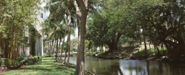 How Do Youth in Kenya Discover Their Future Through Bukura Agricultural College