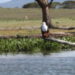 Is Campus Life Expensive in Kenya? The Real Facts Every Student and Parent Should Know