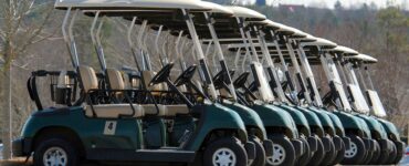 Beyond the Grade: Why a D minus Courses and Qualifications are just the Beginning of Your Journey